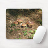 boletus muismat (Met muis)