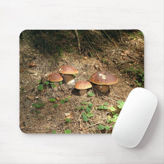 boletus muismat (Met muis)