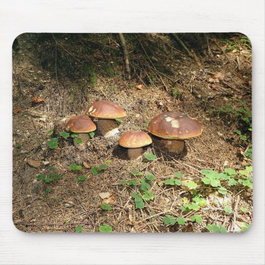 boletus muismat (Voorkant)