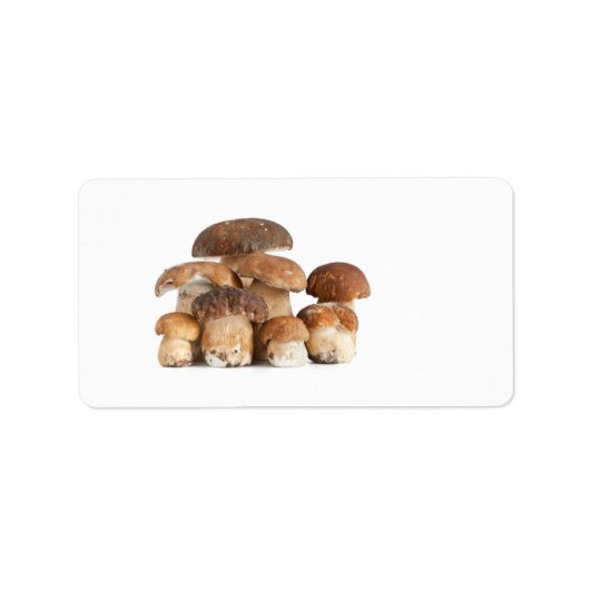 Boletus paddenstoel etiket (Voorkant)