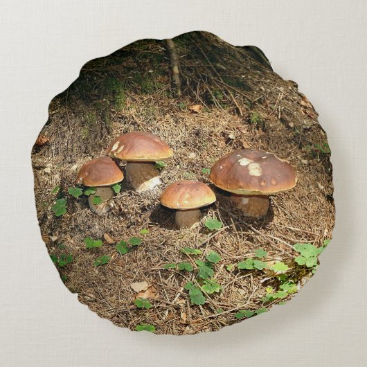 boletus rond kussen (Achterkant)