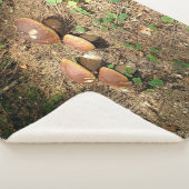 boletus sherpa deken (3/4)