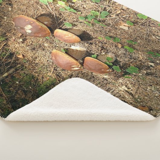 boletus sherpa deken (3/4)