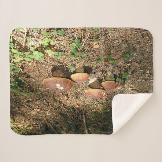 boletus sherpa deken (Voorkant (horizontaal))