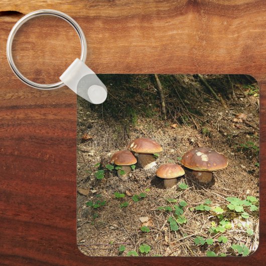 boletus sleutelhanger (Voorkant)
