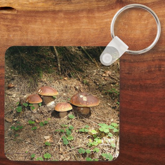 boletus sleutelhanger (Achterkant)