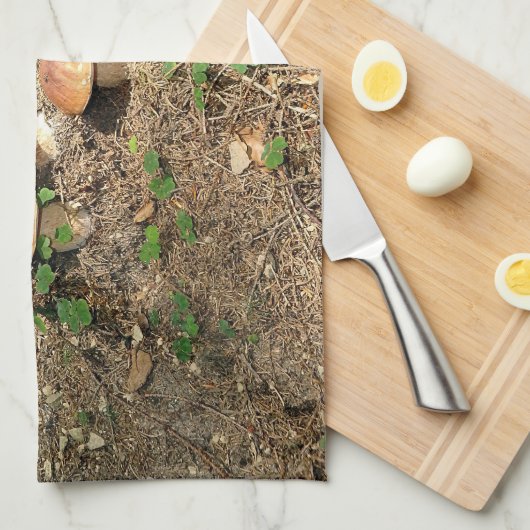 boletus theedoek (Quarter Fold)