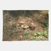 boletus theedoek (Horizontaal)