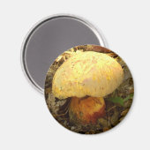 Boletus torosus paddenstoel Magnet (Voorkant / Achterkant)