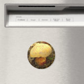 Boletus torosus paddenstoel Magnet (Insitu (Vaatwasser))