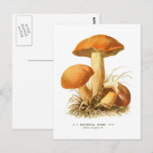 Boletus varigatus briefkaart (Voorkant / Achterkant)