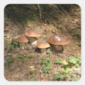 boletus vierkante sticker (Voorkant)