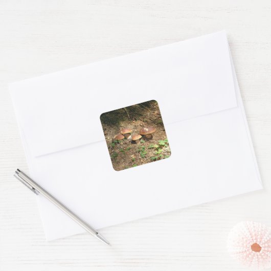boletus vierkante sticker (Envelop)