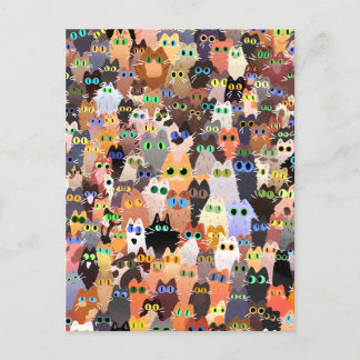Boli bij katten briefkaart