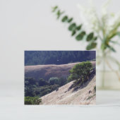Bolinas Ridge, Californië Briefkaart (Staand voorkant)