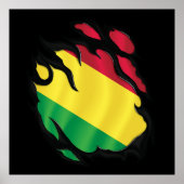 Bolivia geripte vlag poster (Voorkant)