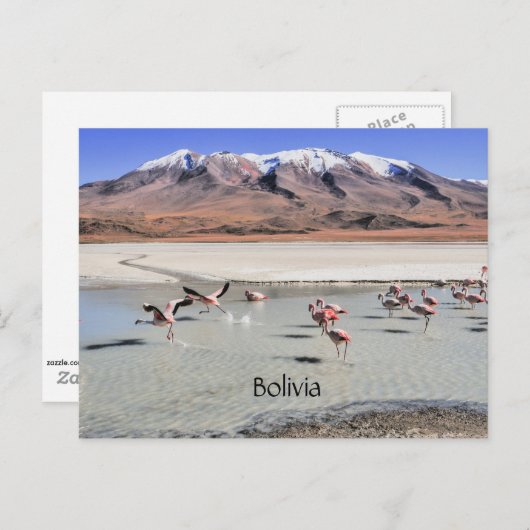 Bolivia landschappelijk landschap briefkaart (Voorkant / Achterkant)