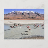 Bolivia landschappelijk landschap briefkaart (Voorkant)
