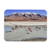 Bolivia landschapsfoto magneet (Horizontaal)