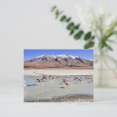 Bolivia landschapsfoto met flamingos briefkaart (Staand voorkant)