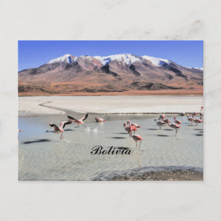 Bolivia landschapsfoto met flamingo's briefkaart