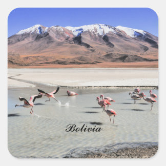 Bolivia landschapsfoto met flamingo's vierkante sticker