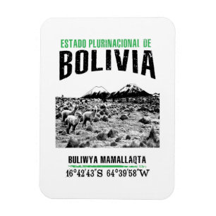 Bolivia Magneet
