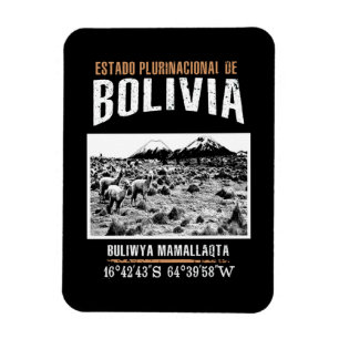 Bolivia Magneet