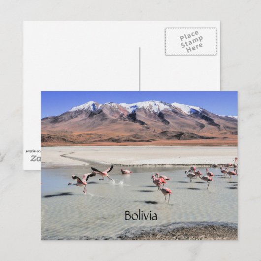Bolivia schilderachtig landschap briefkaart (Voorkant / Achterkant)
