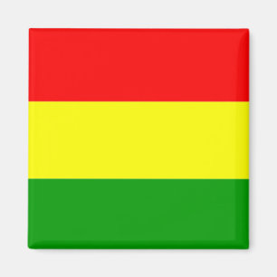 Bolivia: vlag van koelkast magnet van Bolivia