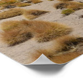 Boliviaanse Altiplano woestijnlandschap Poster (Hoek)