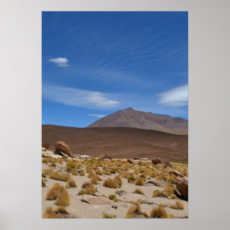 Boliviaanse Altiplano woestijnlandschap Poster