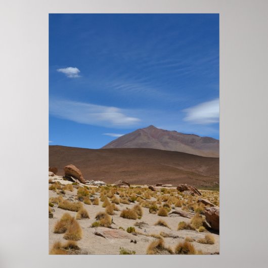 Boliviaanse Altiplano woestijnlandschap Poster (Voorkant)