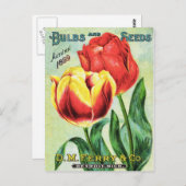 Bollen en zaadjes, rood en geel briefkaart (Voorkant / Achterkant)