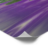 bollen poster (Hoek)