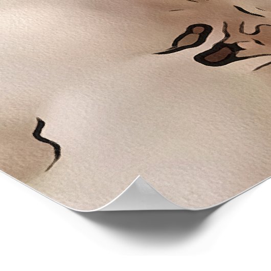 bollen van acrylvezels poster (Hoek)