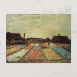 Bollenvelden door Vincent van Gogh. Briefkaart