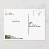 Bollinger Mill en Burfordville Covered Bridge Briefkaart (Achterkant)