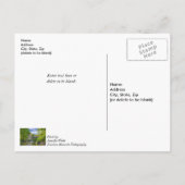 Bollinger Mill en Burfordville Covered Bridge Briefkaart (Achterkant)