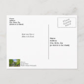 Bollinger Mill en Burfordville Covered Bridge Briefkaart (Achterkant)