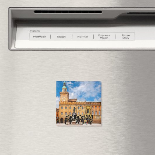 Bologna Magneet (Insitu (Vaatwasser))