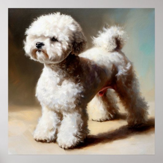 Bolognese Dog Poster (Voorkant)