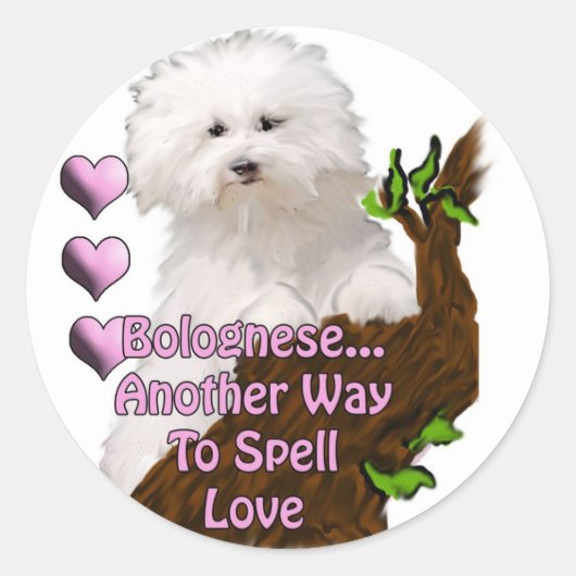 Bolognese of Havanese puppy Ronde Sticker (Voorkant)