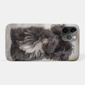 Bolonka Puppy Case-Mate iPhone Case (Achterkant (horizontaal))