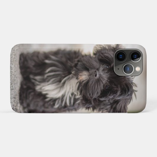 Bolonka Puppy Case-Mate iPhone Case (Achterkant (horizontaal))