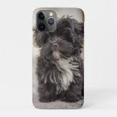 Bolonka Puppy Case-Mate iPhone Case (Achterkant)