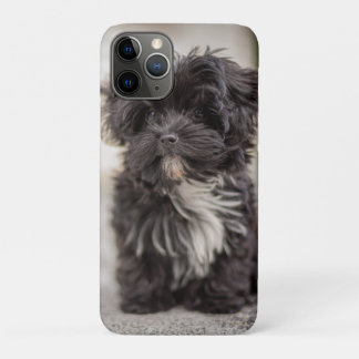 Bolonka Puppy Case-Mate iPhone Case