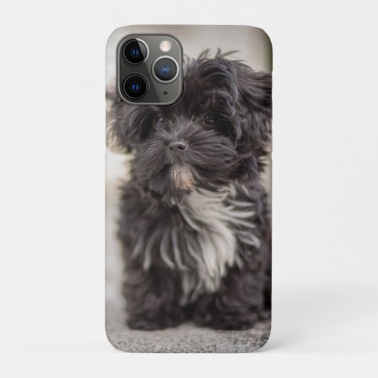 Bolonka Puppy Case-Mate iPhone Case (Achterkant)