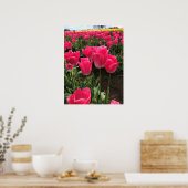 Bolray Price Tulips, Oregon Poster (Keuken)