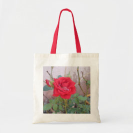 bolsa econômica  tote bag